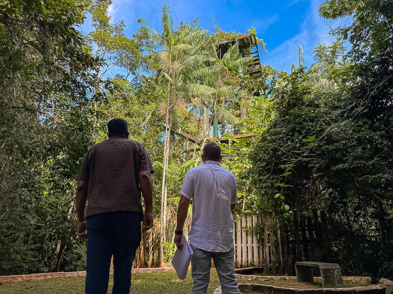 Foto do Mirante no Parque Chico Mendes