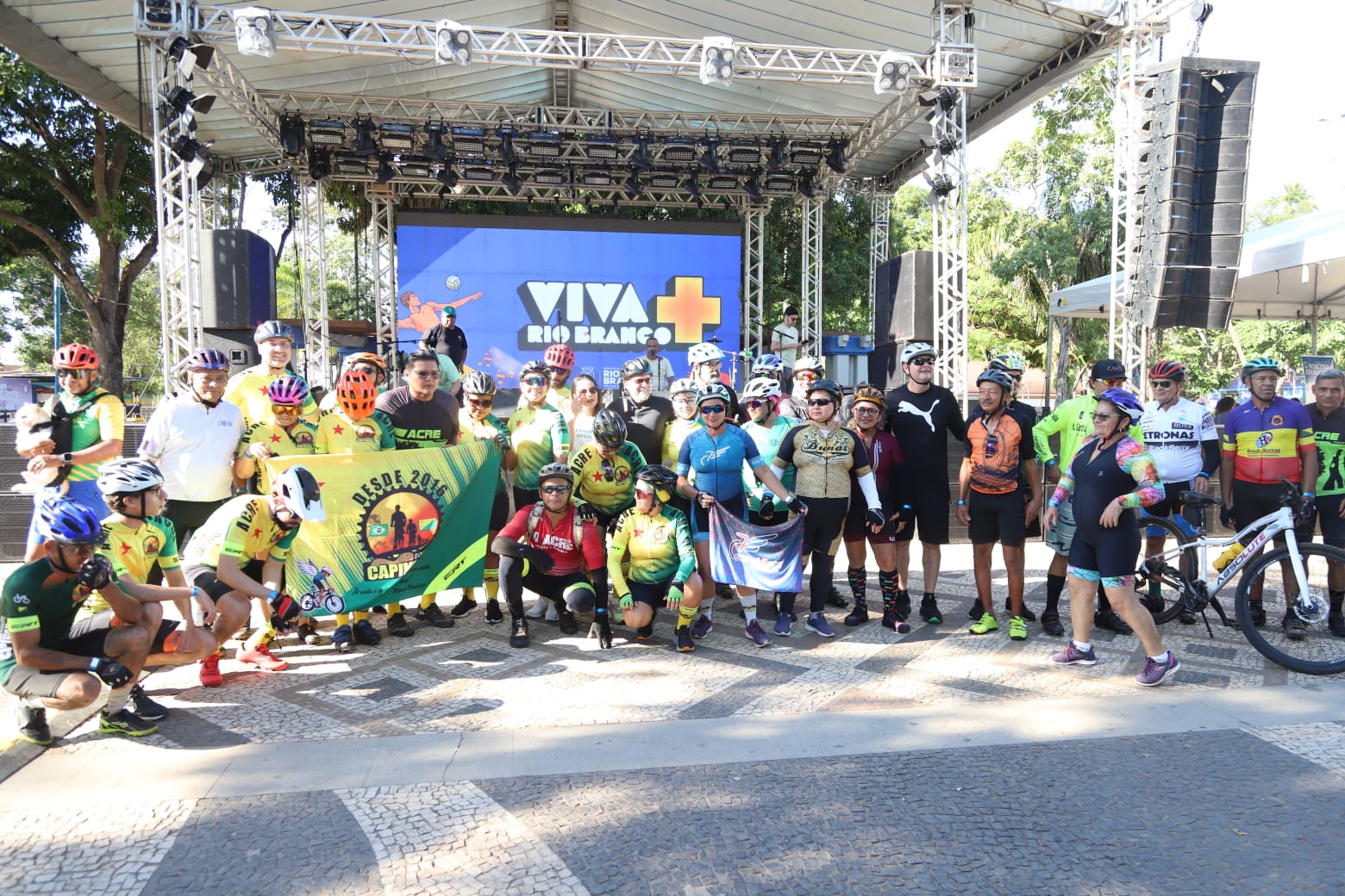 VIVA VF31 3