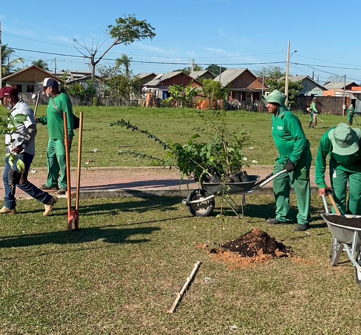 Entre as espécies plantadas estão ipê, cajueiro, jambo, açaí, jabuticaba, munguba, copaíba e jatobá. (Foto: Lucas Brito/Semeia)