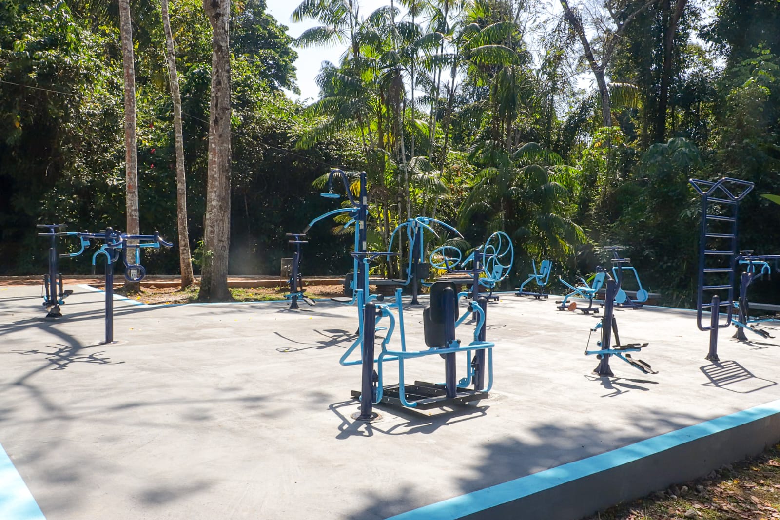 30 anos Parque Chico Mendes 4