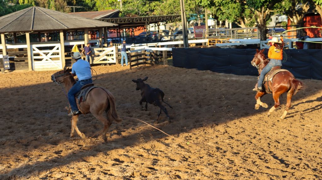 Esportes Equestres em Rio Branco Samella 3 e1785167138118