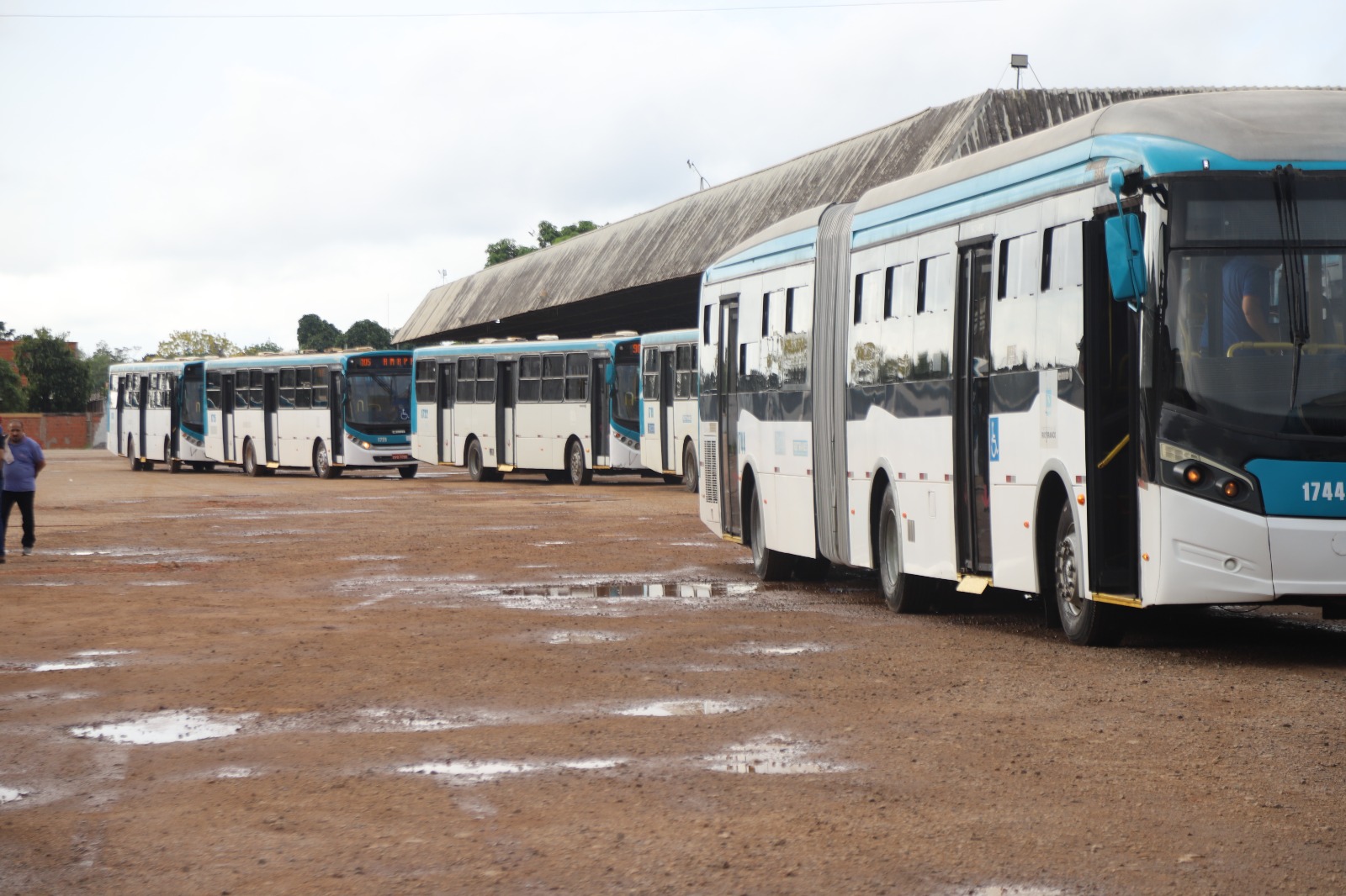 Normalizacao das linhas do transporte coletivo 3