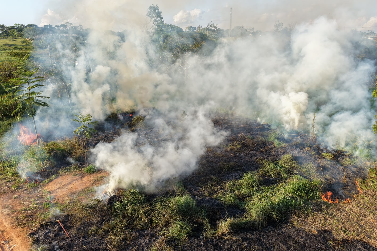 Prefeitura de Rio Branco publica chamamento público para seleção de OSC que atuará com brigadistas florestais 1 Selecao de OSC 3