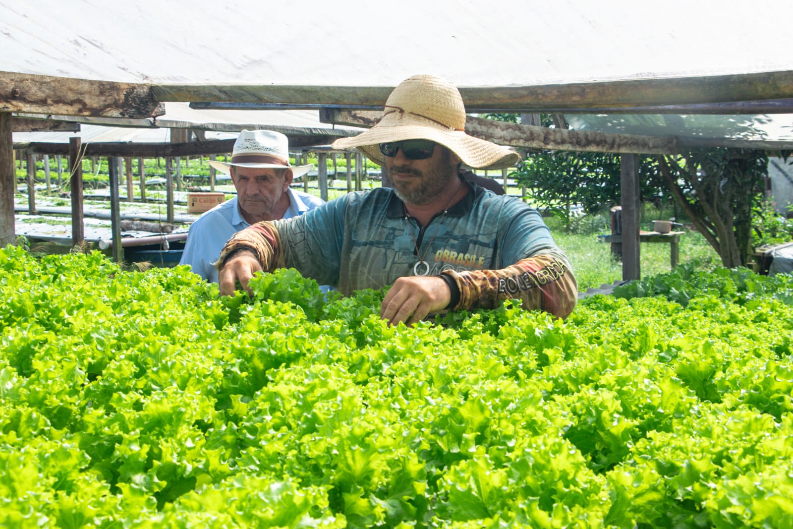 Apoio e incentivo aos agricultores 12
