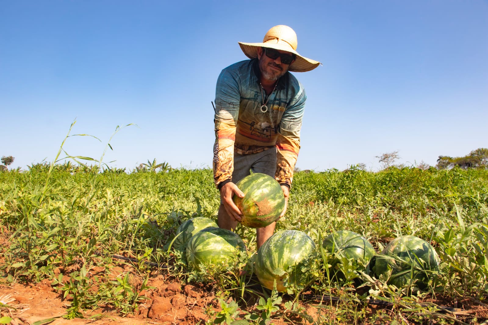 Apoio e incentivo aos agricultores 14