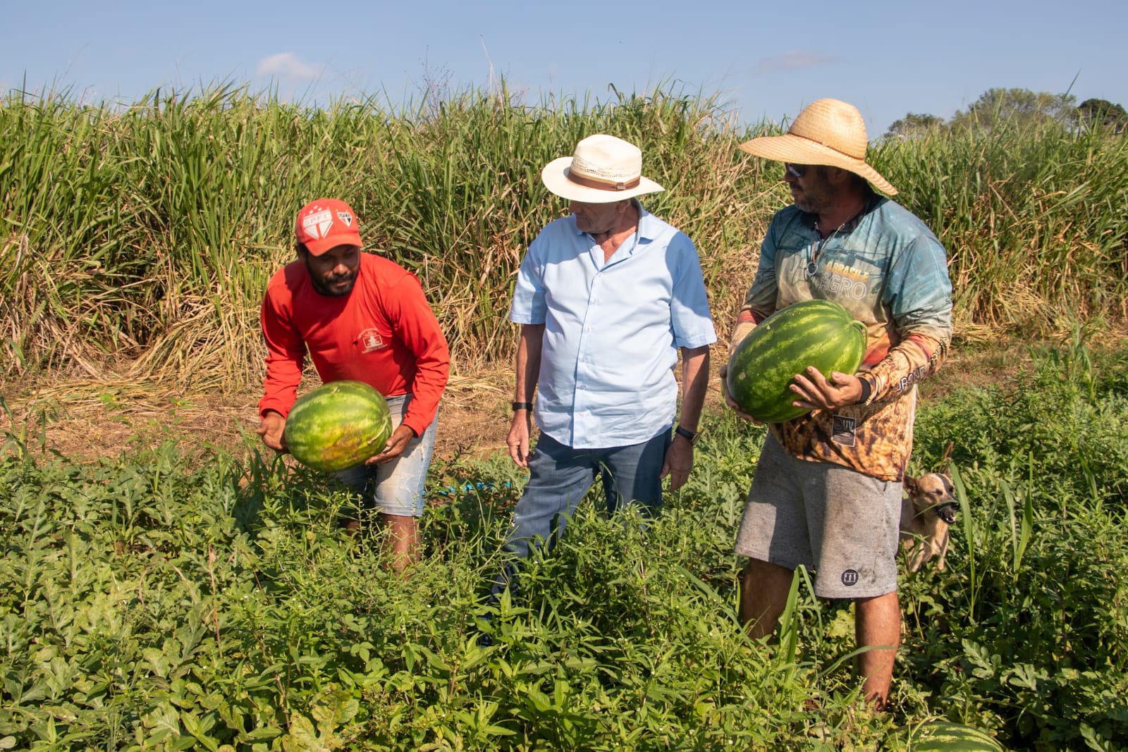 Apoio e incentivo aos agricultores 23