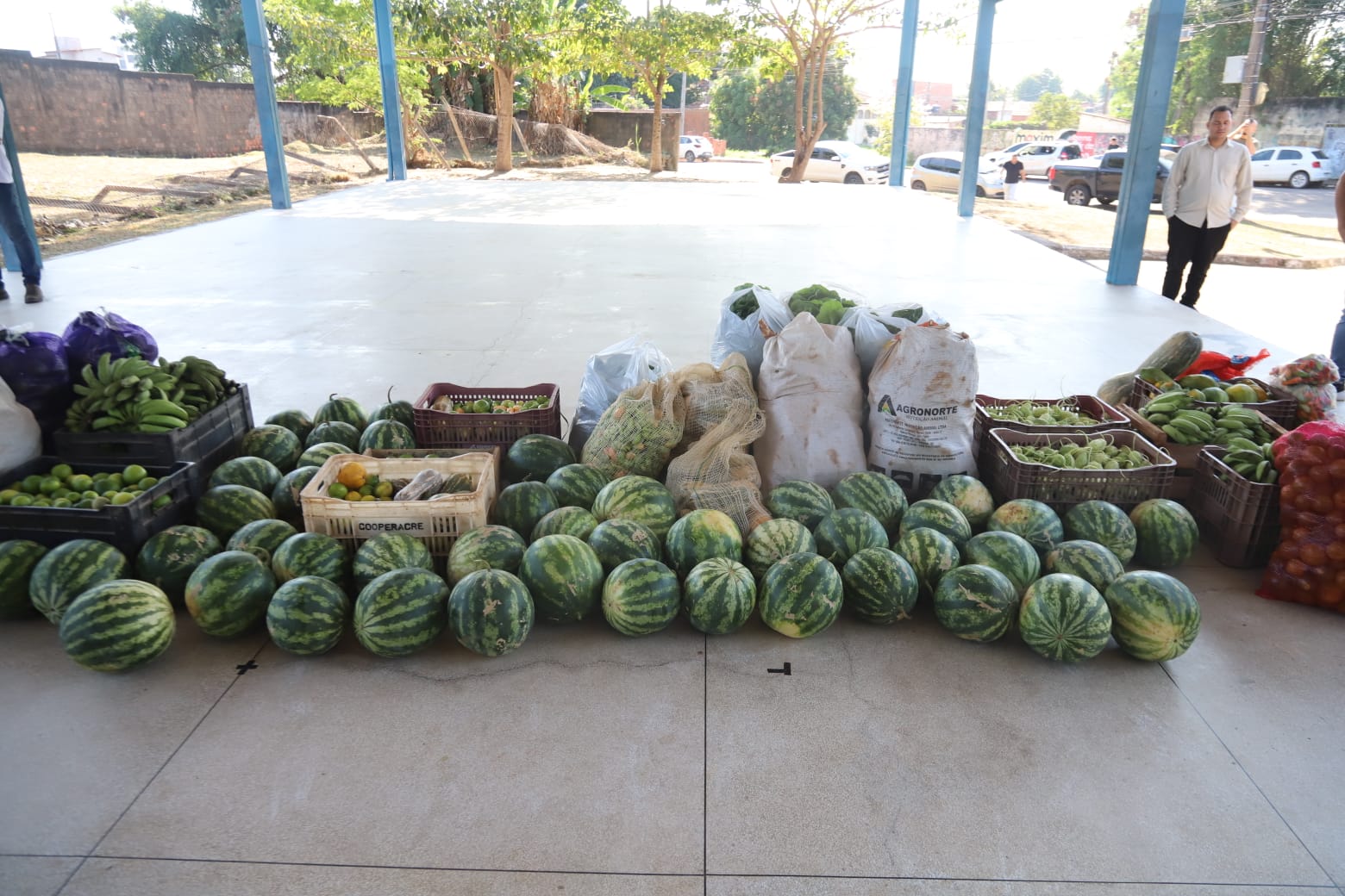 Mercado Beatriz Lucio Brana 8