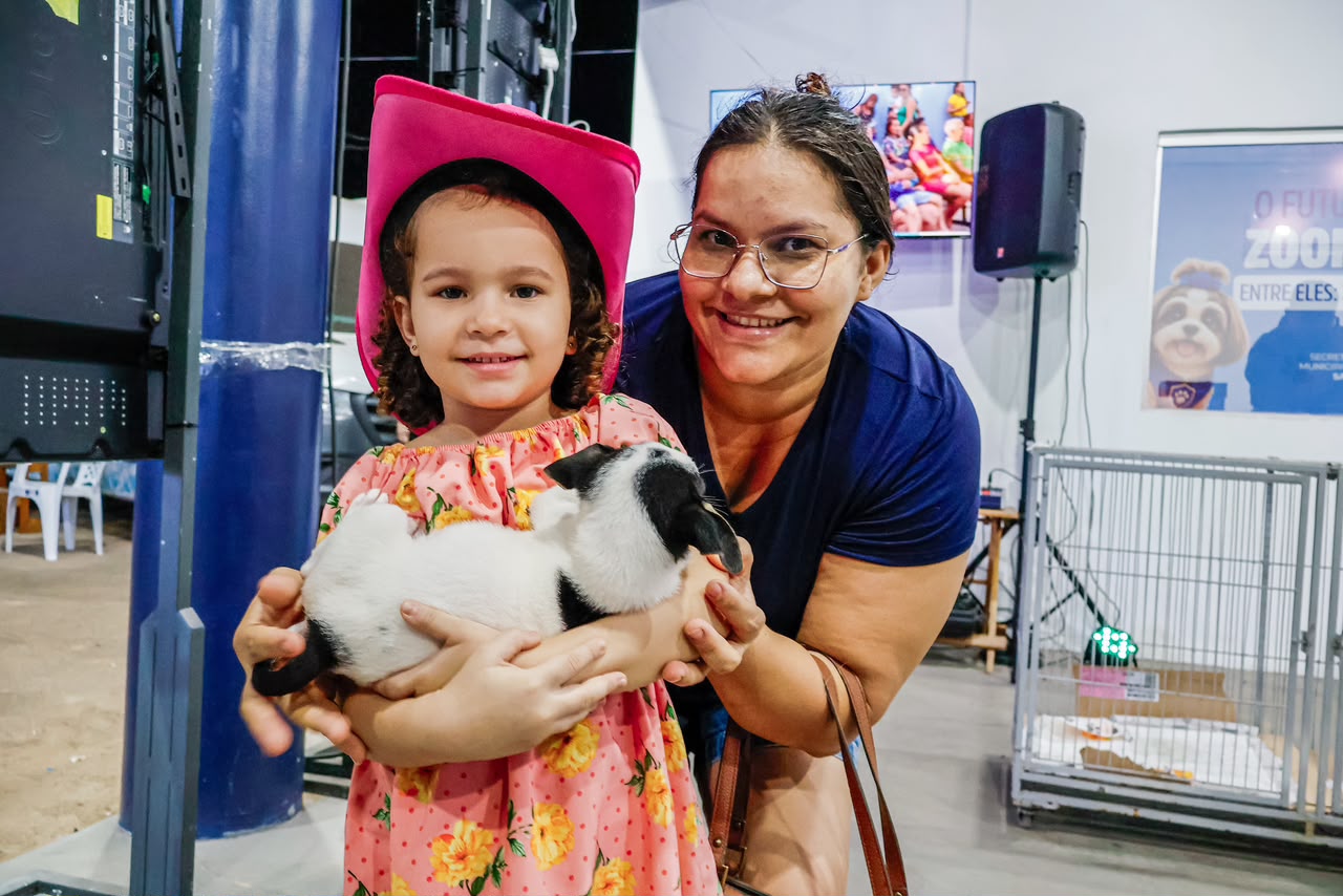 Novos lares pets 2