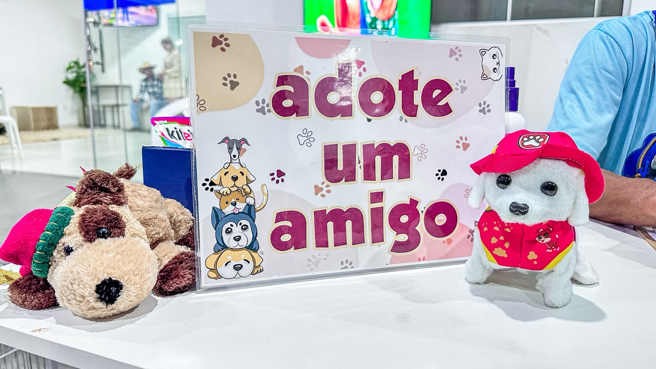 Novos lares pets 8