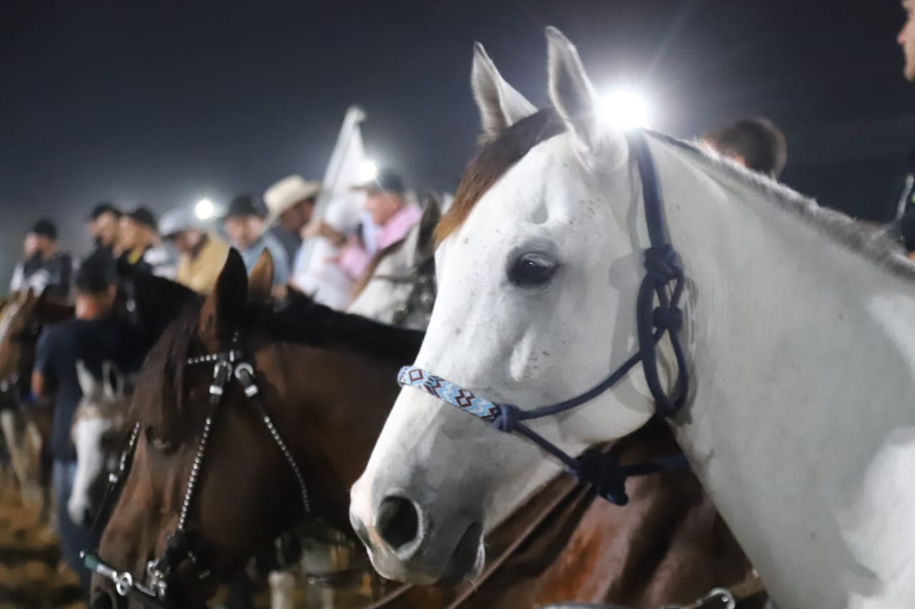 Foto da Vaquejada