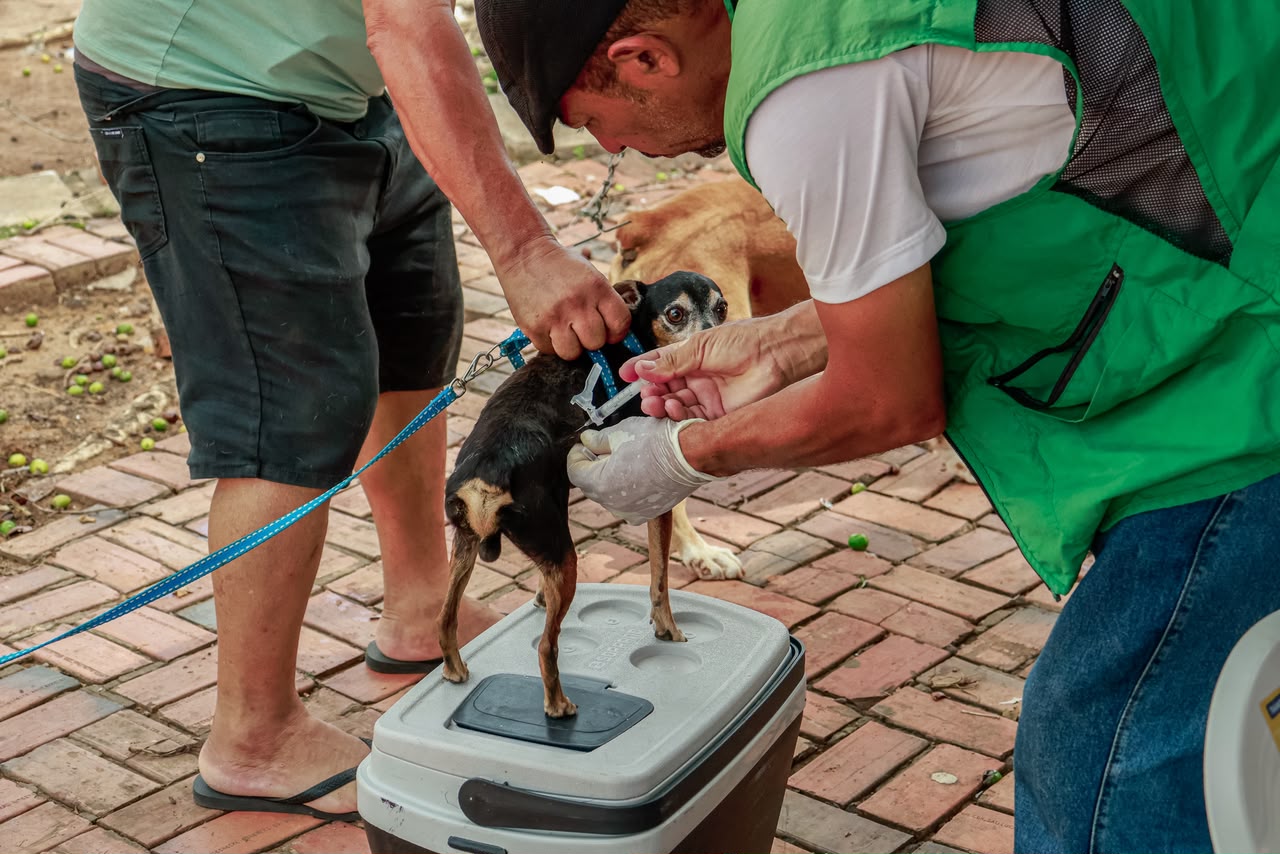 Vacina 551 animais 7