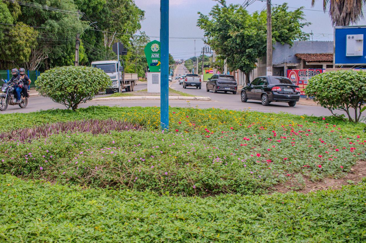 Arborizacao em Rio Branco 17