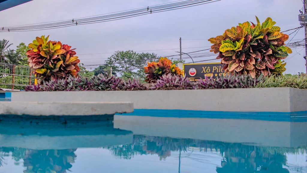 Prefeitura fortalece produção de mudas no Horto Florestal e amplia ações de arborização em Rio Branco 2 Arborizacao em Rio Branco 40 e1791472155509
