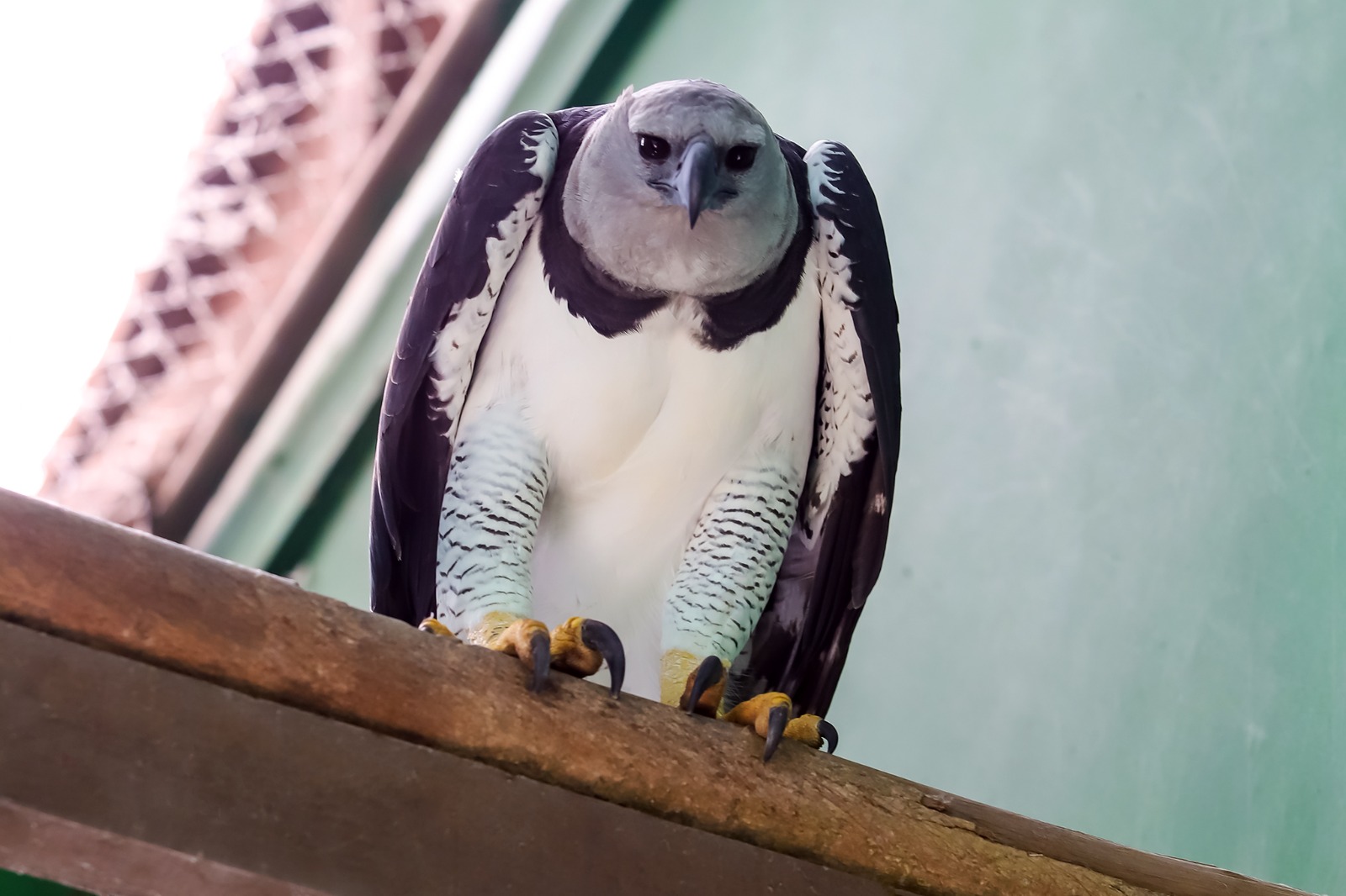 Dia das Criancas no Chico Mendes 4